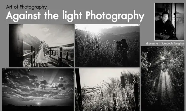Art of Photography_Against the light Photography